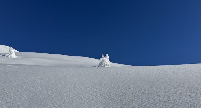 Enneigement à Montgenèvre : neige assurée en janvier