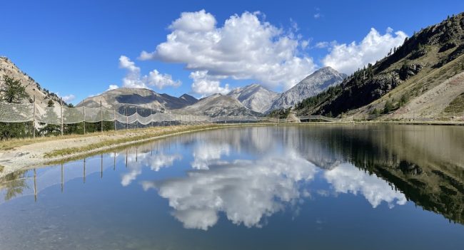 Pass multi-activités à Montgenèvre Haute Alpes